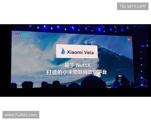 飞翼与梦想的碰撞预言未来之路的选择与挑战